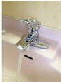 洗面用水栓取替工事 神奈川県横浜市 TLHG30G